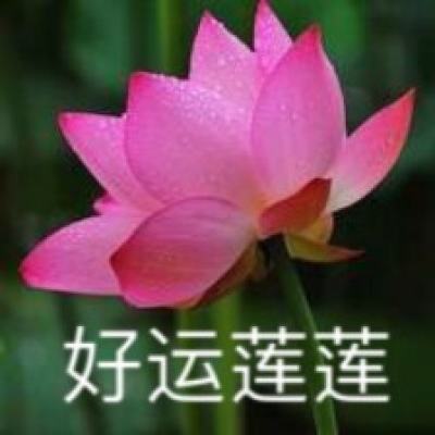 疯狂斗西游手机版(暂未上线)v1.3 安卓版